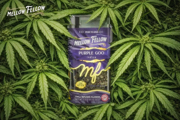 Is THCp Flower Sprayed? Quality Identification Guide