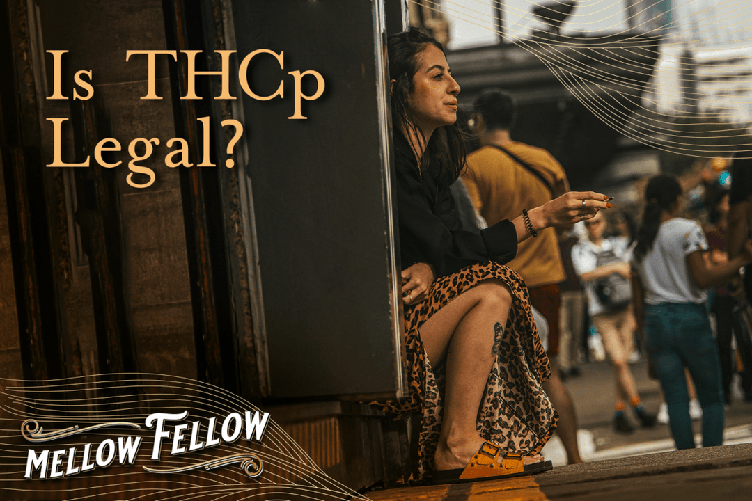 Is THCp Legal in Your State? - Mellow Fellow