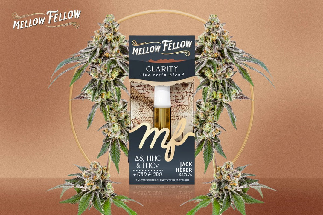 Jack Herer Strain Review: The Legendary Sativa for Focus and Creativity - Mellow Fellow