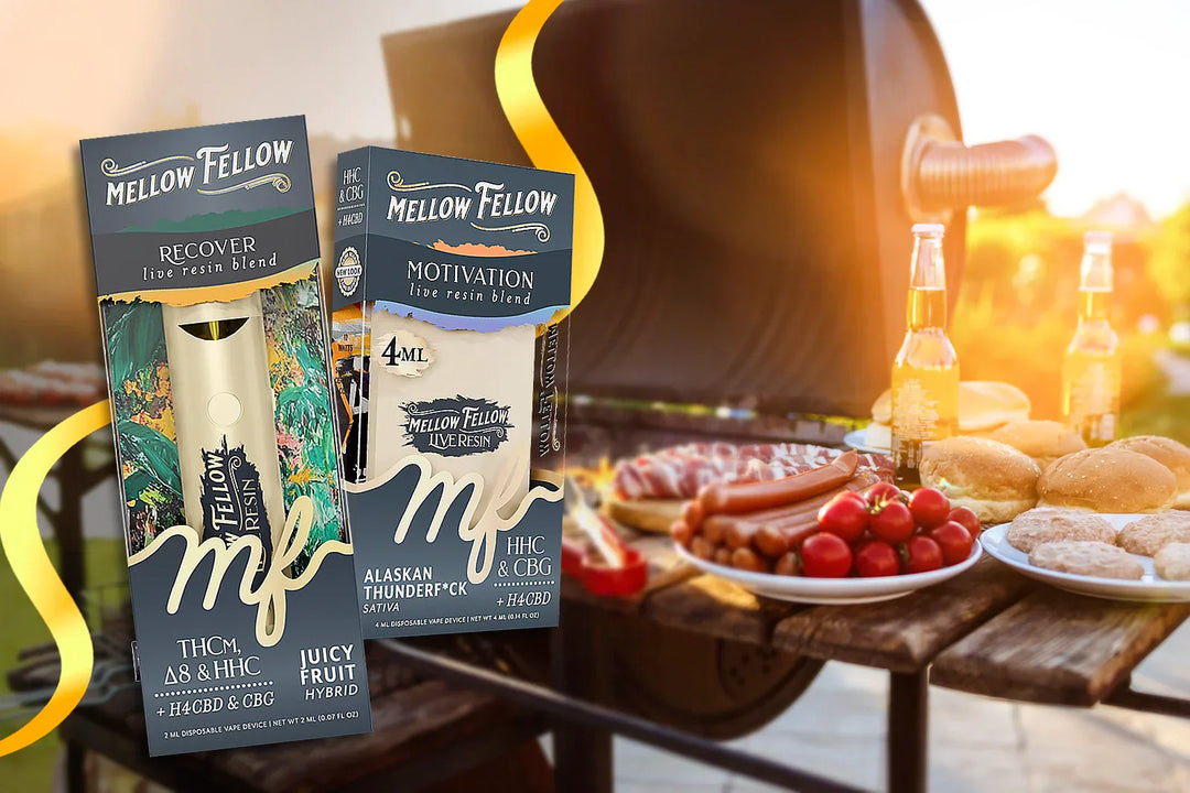 Two Mellow Fellow disposable vape devices one with RECOVER Juicy Fruit flavor and the other with Alaskan Thunderf*ck flavor placed in front of a picnic table with a barbecue setup, burgers, and drinks.