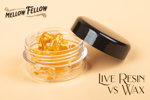 Live Resin vs Wax: Whats the Strongest Form of Cannabis?