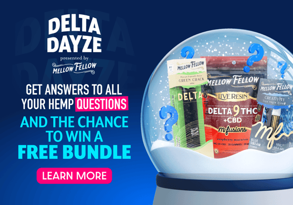 2024 Delta Dayze: December Full of Deals