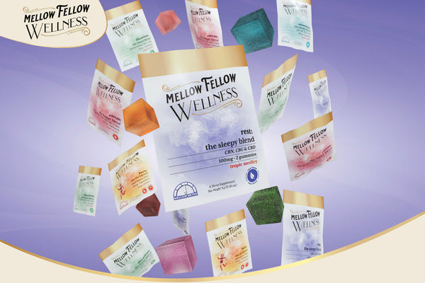Mental Health Awareness Month: Prioritizing Wellness in May with Mellow Fellow
