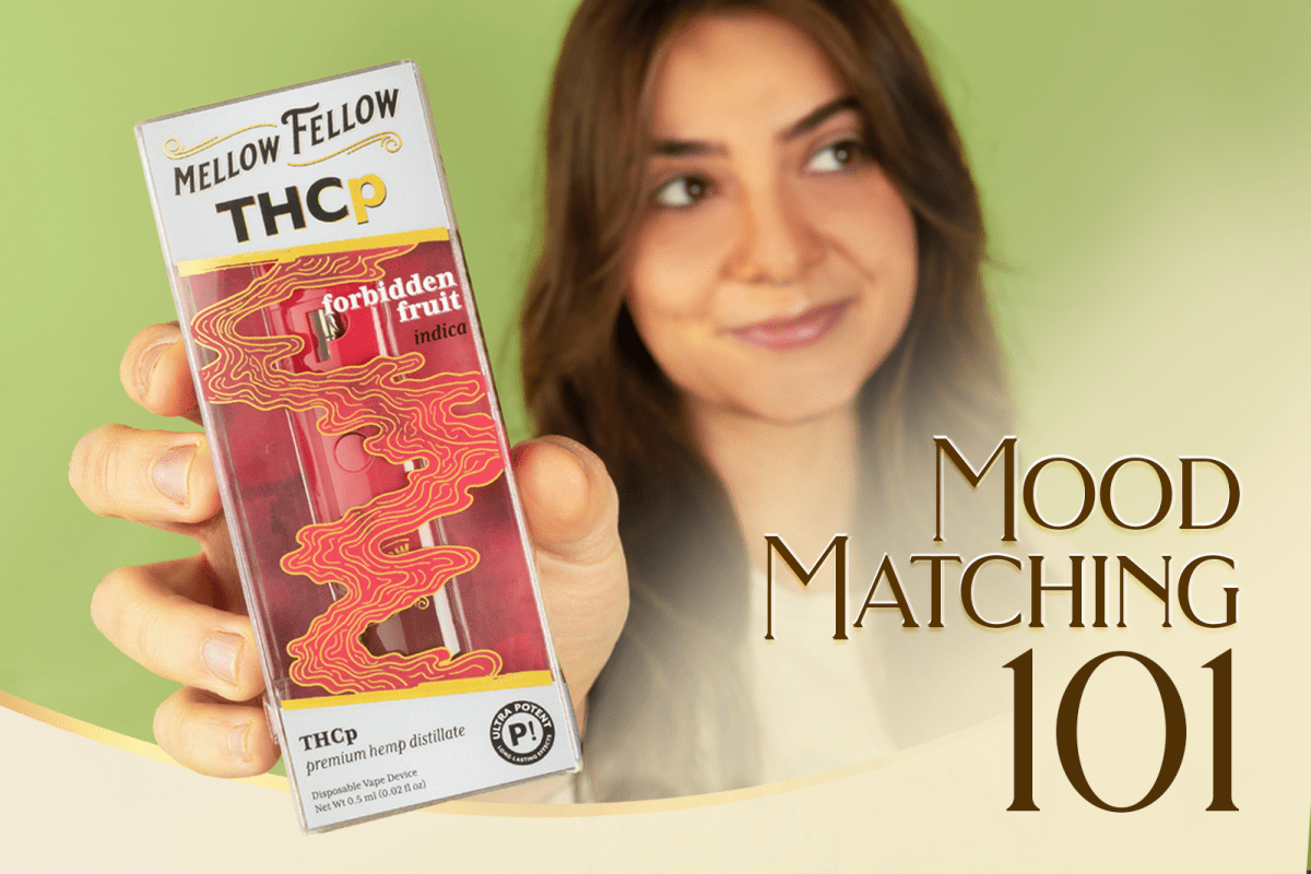 Mood Matching 101: Pick the Perfect Cannabis Product for How You Want -  Mellow Fellow