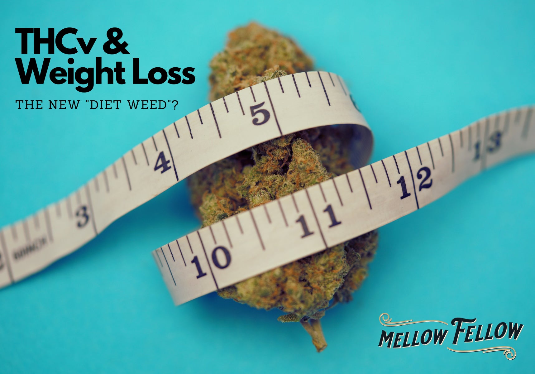 THCv & Weight Loss New “Diet Weed”? Mellow Fellow