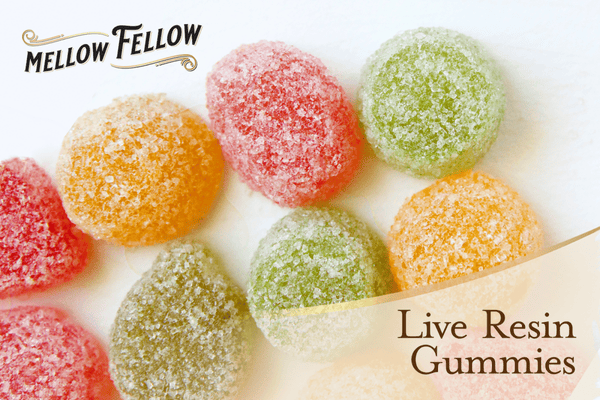 What Are Live Resin Gummies?