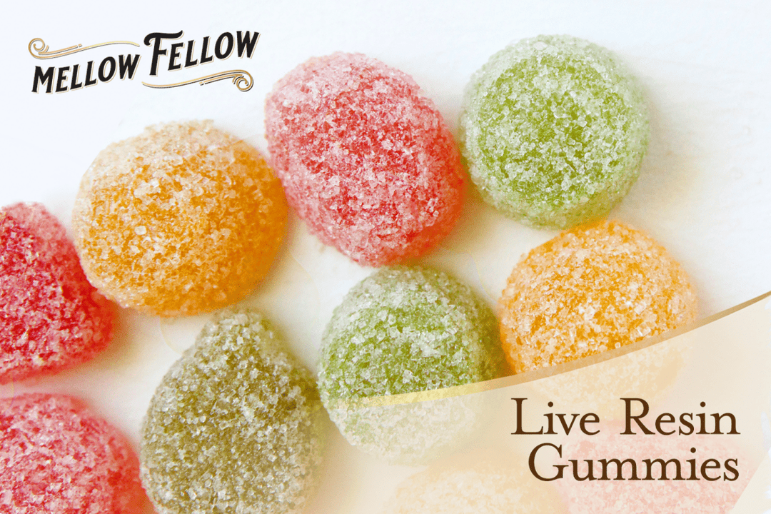 What Are Live Resin Gummies? - Mellow Fellow