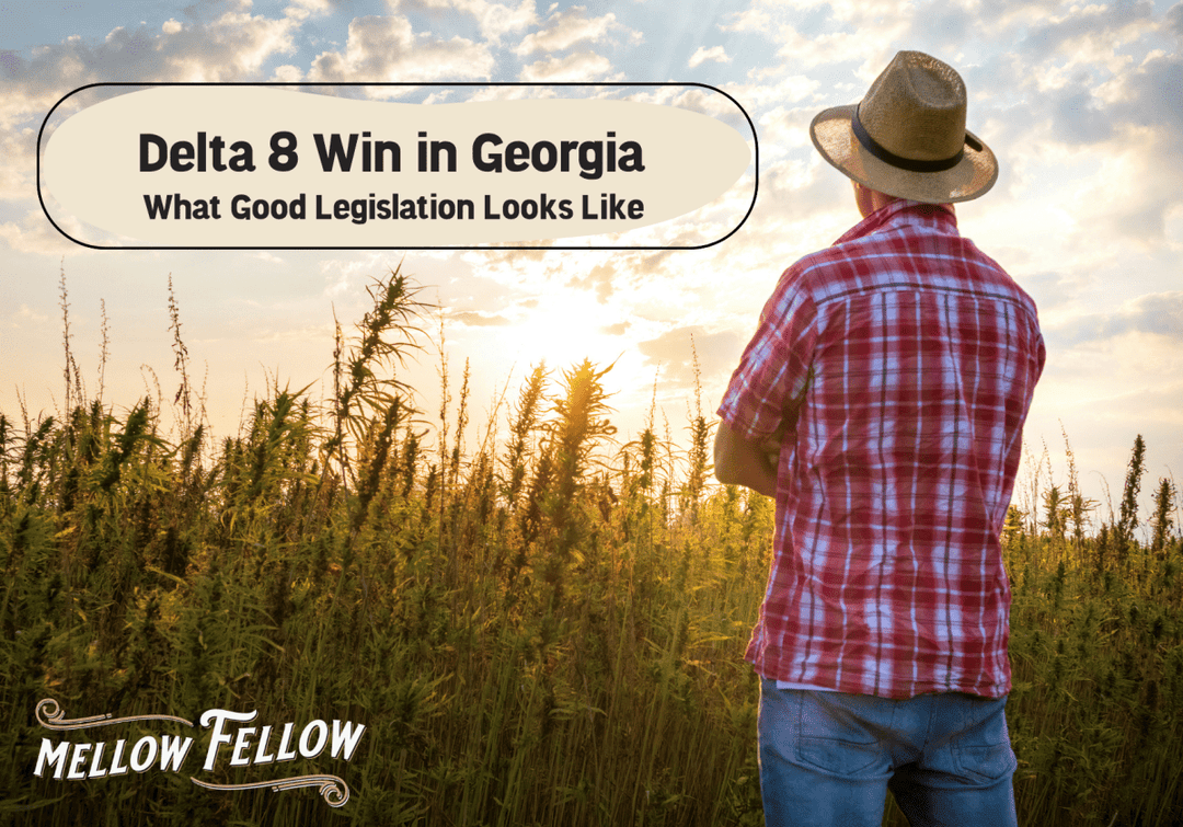 Delta 8 Win In Georgia - What Good Legislation Looks Like - Mellow Fellow