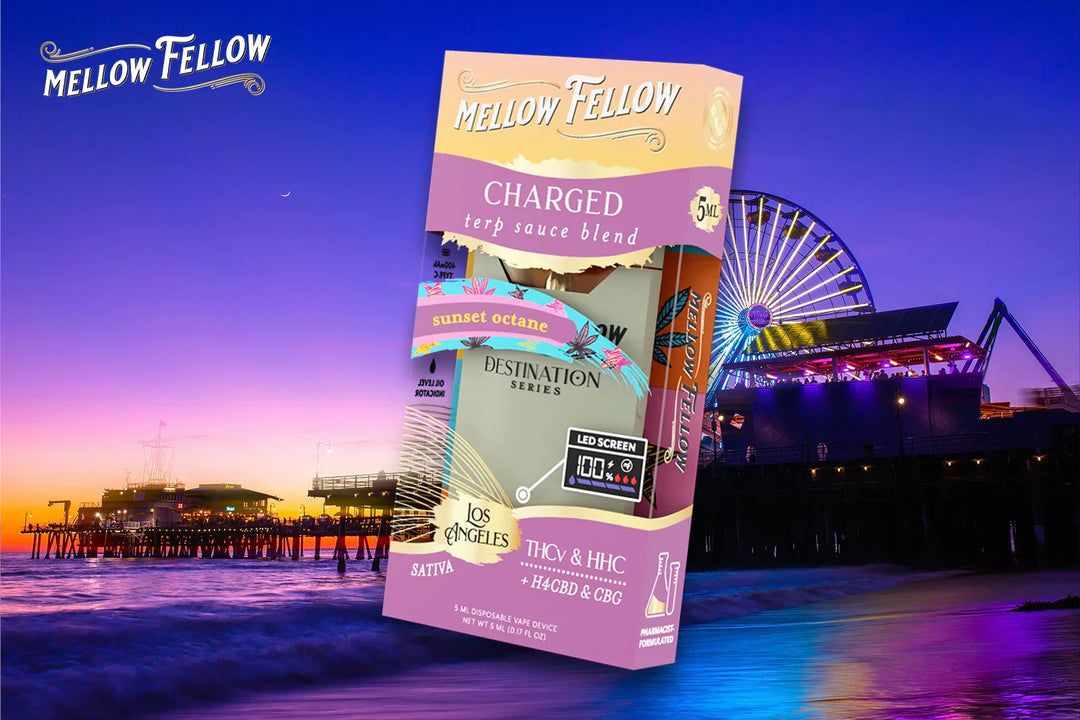 A Mellow Fellow CHARGED Destination Series with Sunset Octane flavour vape device place in front of Santa Monica Pier at sunset, with vibrant colors and Ferris wheel lights