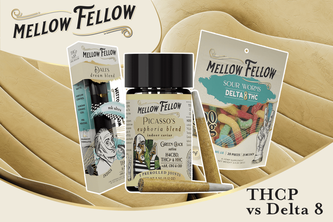 THCp vs. Delta 8 - Mellow Fellow