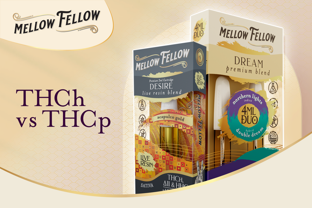 THCh andTHCp products from Mellow Fellow