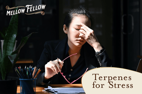 The Best Terpenes for Stress and Anxiety