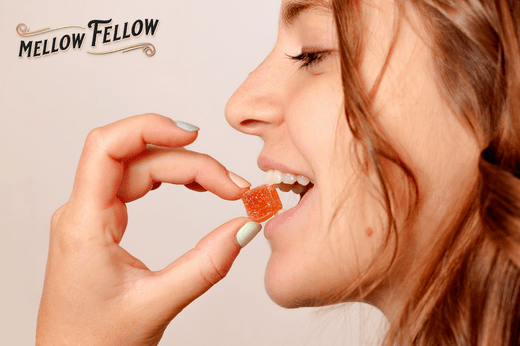 Mellow Fellow’s Guide to the Strongest THCp Gummies