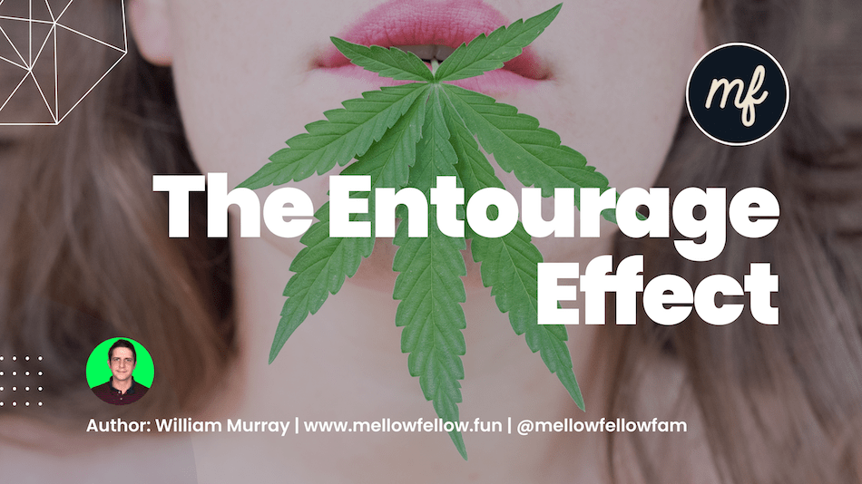 What is The Entourage Effect? - Mellow Fellow