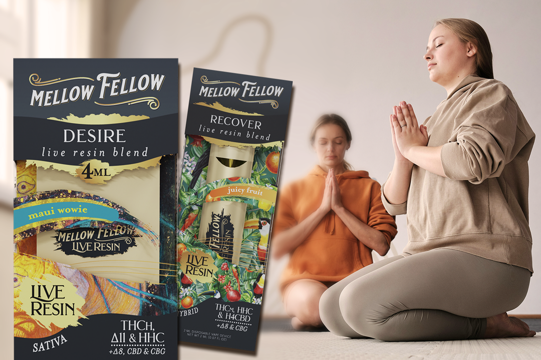 Two women meditate with Mellow Fellow live resin blends DESIRE and RECOVER in foreground