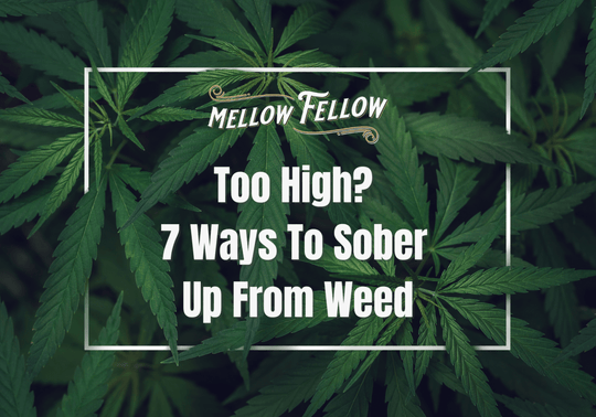 Too High? 7 Ways To Sober Up From Weed