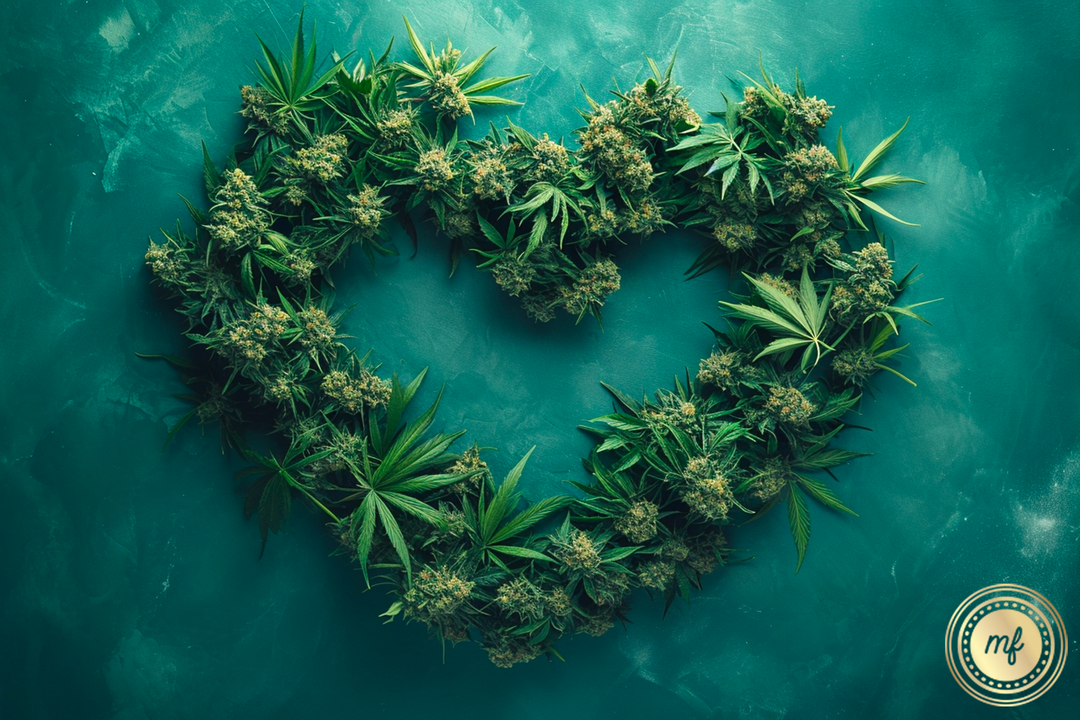 Heart shape made of cannabis buds.