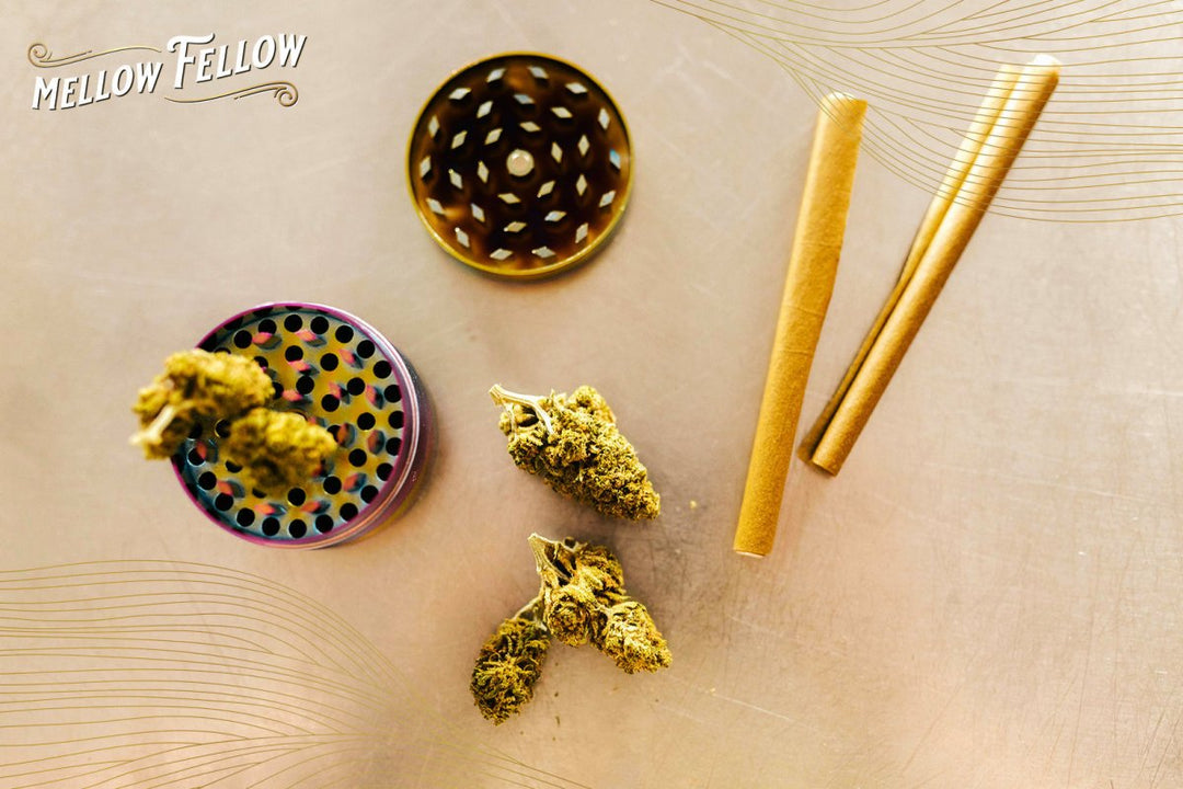 What Are Infused Pre-Rolls? What to Know About These Potent Game-Changers - Mellow Fellow