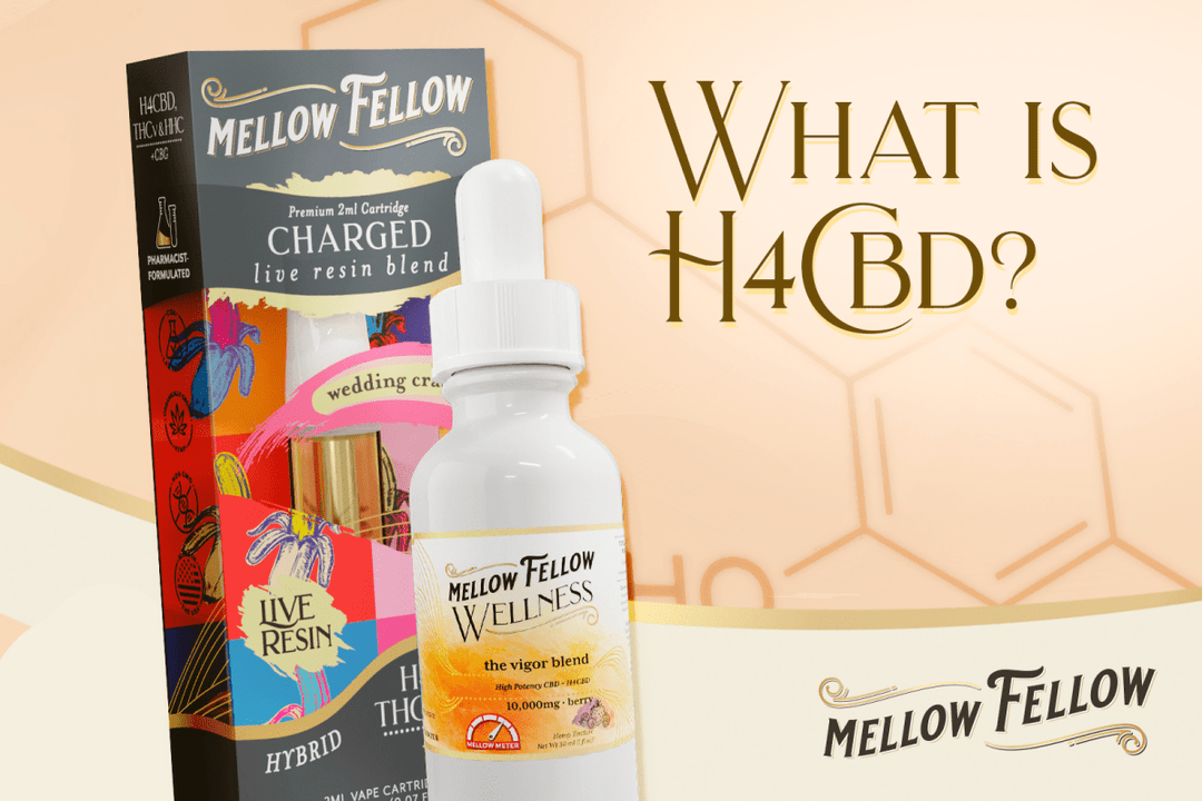 What is H4CBD? - Mellow Fellow