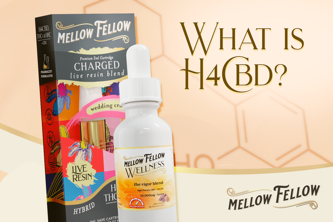 H4CBD products from Mellow Fellow. It says "What is H4CBD?" next to them.