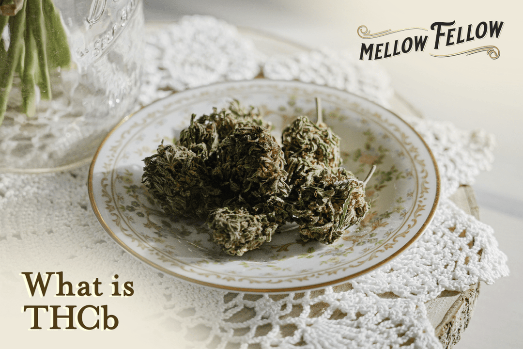 What is THCb Cannabinoid? - Mellow Fellow
