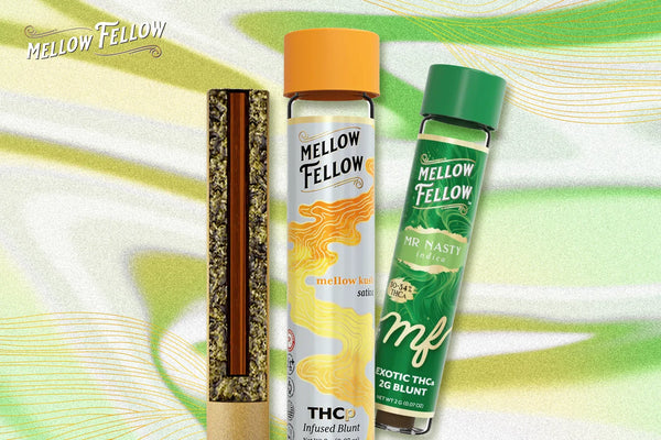 What Is a Cannagar and How to Make Them