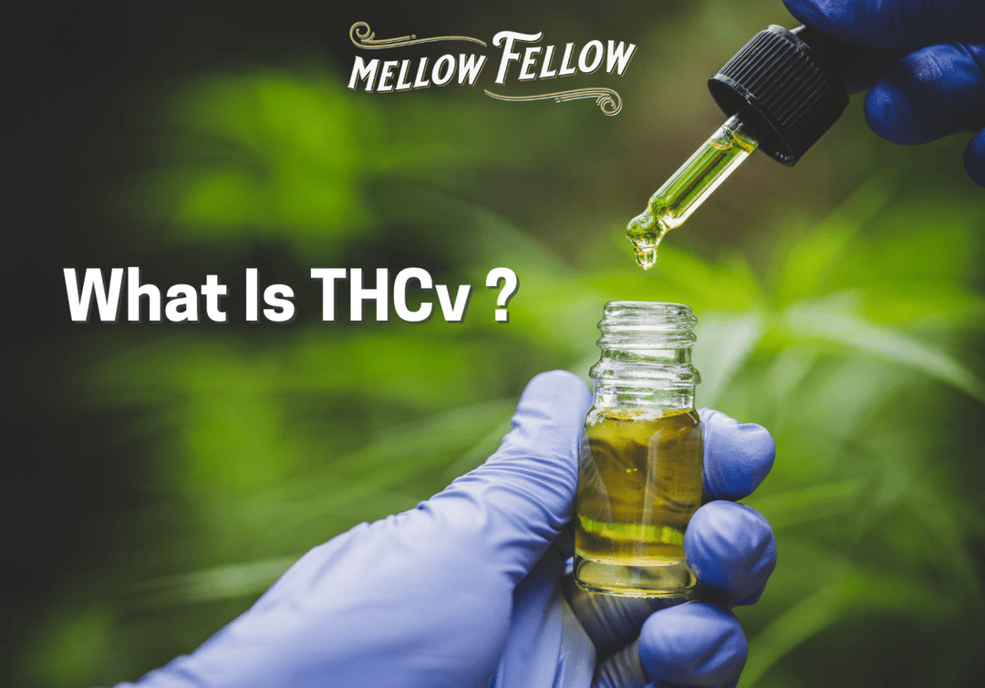 What is THCv? - Mellow Fellow