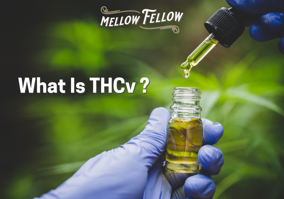 What is THCv?