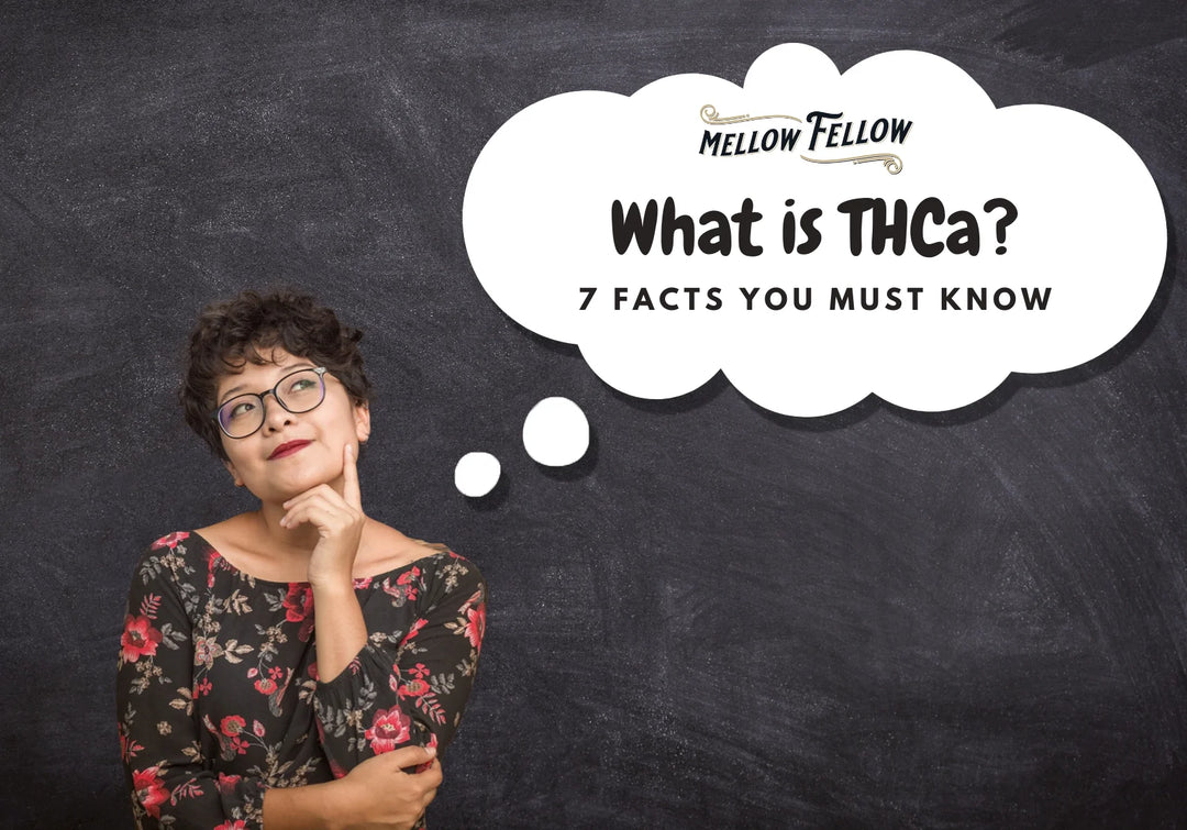 What Is THCa? 7 Facts You Must Know - Mellow Fellow