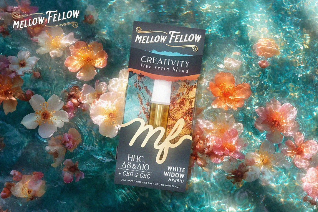 White Widow Strain Review: Crystal-Coated for Creatives - Mellow Fellow