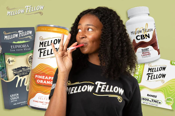 Why Subscribe to Mellow Fellow? How to Save More Based on What You Use