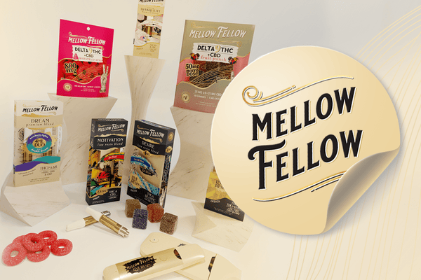 An Introduction to Mellow Fellow: Where Science Meets Your Perfect Mood