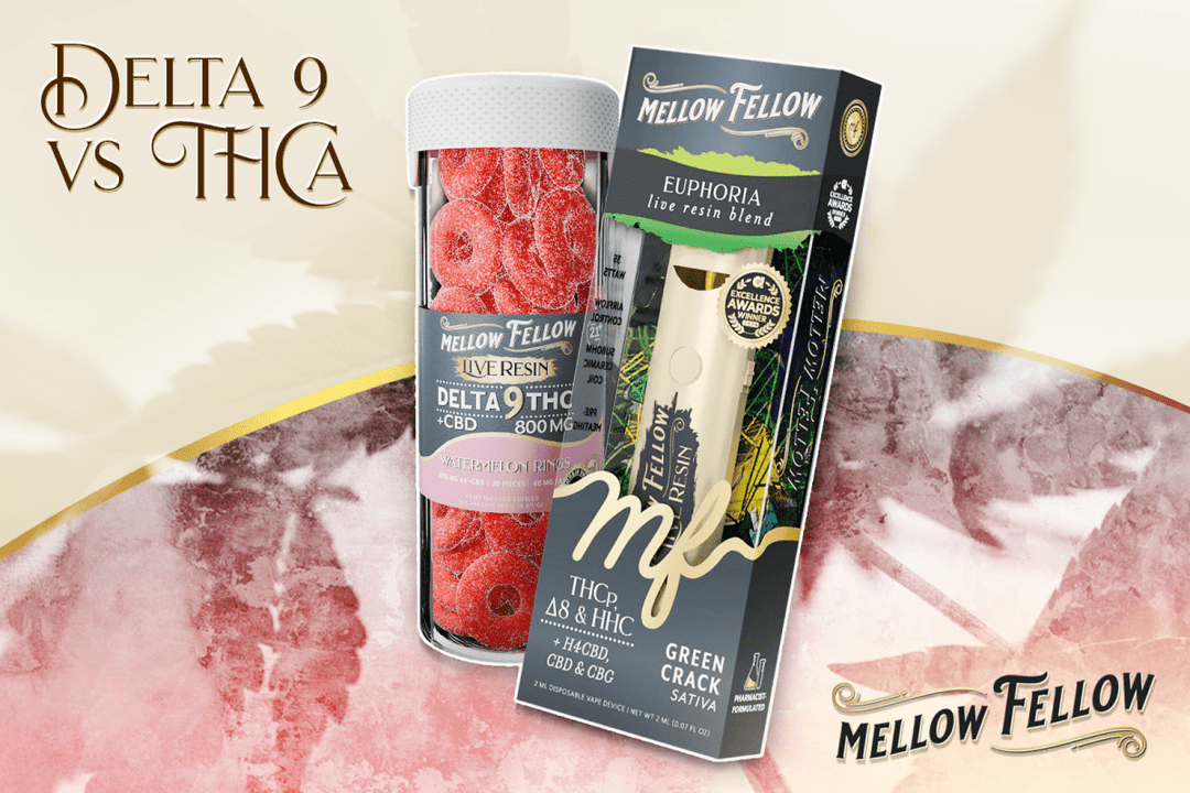 Delta 9 vs. THCa: Knowing Which Is Right for You - Mellow Fellow