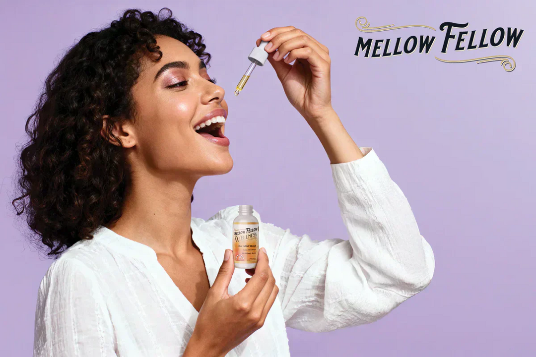 Can CBD Blend Tinctures Enhance Your High? 3 Things You Need to Know - Mellow Fellow