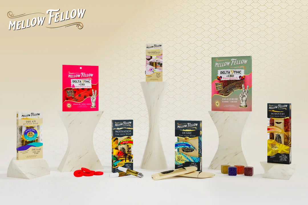Medterra vs. Charlotte's Web vs. Mellow Fellow: Comparing CBD Brands - Mellow Fellow
