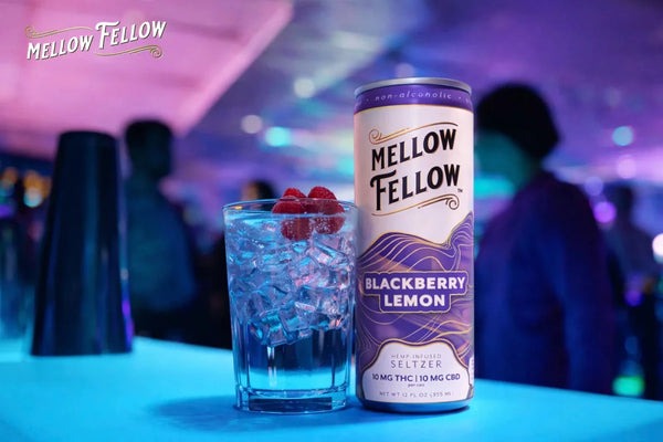 Moment vs Recess vs Mellow Fellow: Functional Beverages Compared