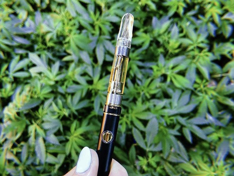 Our 3 Best Selling Indica Disposable Carts - Mellow Fellow