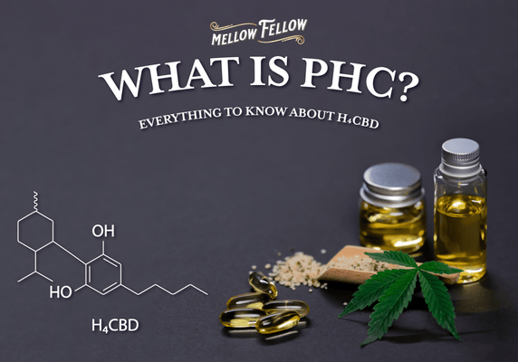 What is PHC? Everything To Know About H4CBD