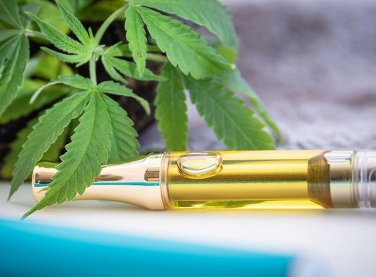 How to Source The Industry's Best Zkittles Delta 8 Cartridges