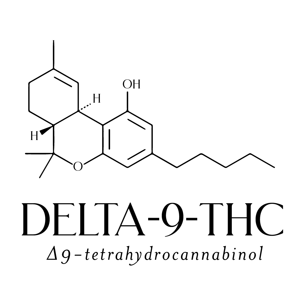 Delta-9-THC, Delta 9 Tetrahydrocannabinol, Delta-9-THC molecular diagram Mellow Fellow Brand font