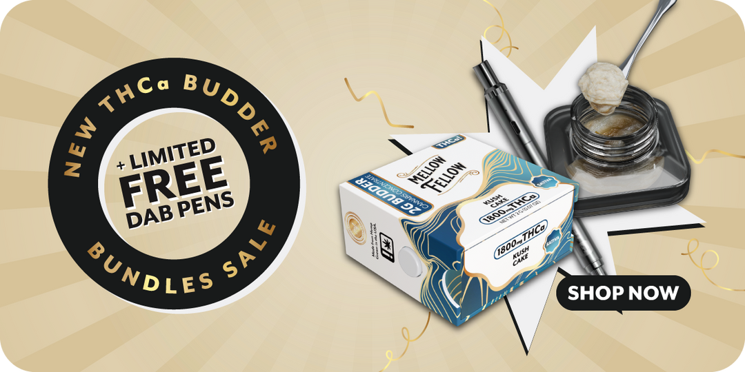 Graphic promoting a sale of THCa budder with the text "New THCa Budder Bundles Sale + Limited Free Dab Pens." It features a box of Mellows Fellow budder and a container with a dab tool. A "Shop Now" button is included.