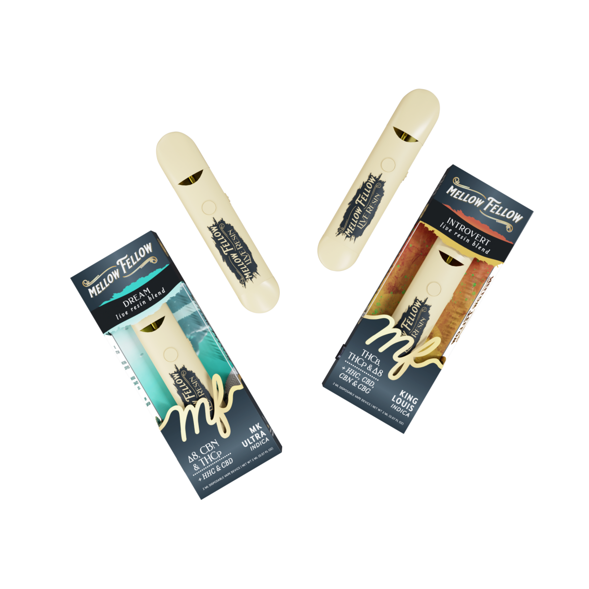 CozyCollectionBundle.webp?v=