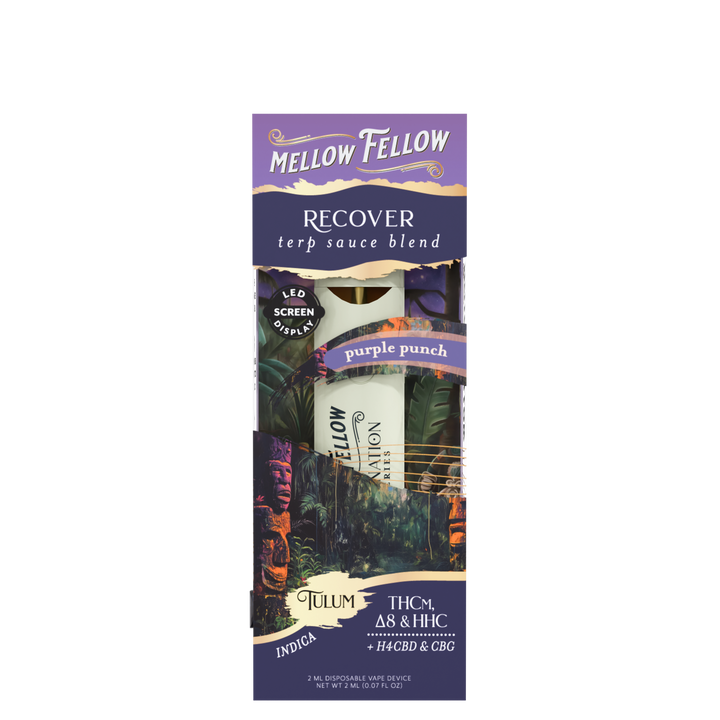 Recover Blend - Destination: Tulum - Terp Sauce 2ml Disposable Vape - Purple Punch (Indica)