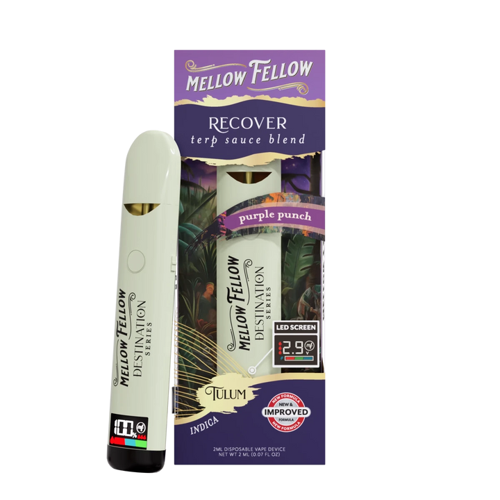 Recover Blend - Terp Sauce 2ml Disposable Vape - Purple Punch (Indica) - Mellow Fellow