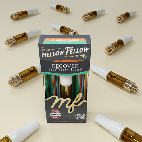 what is a resin vape 3500 Puffs main image 1
