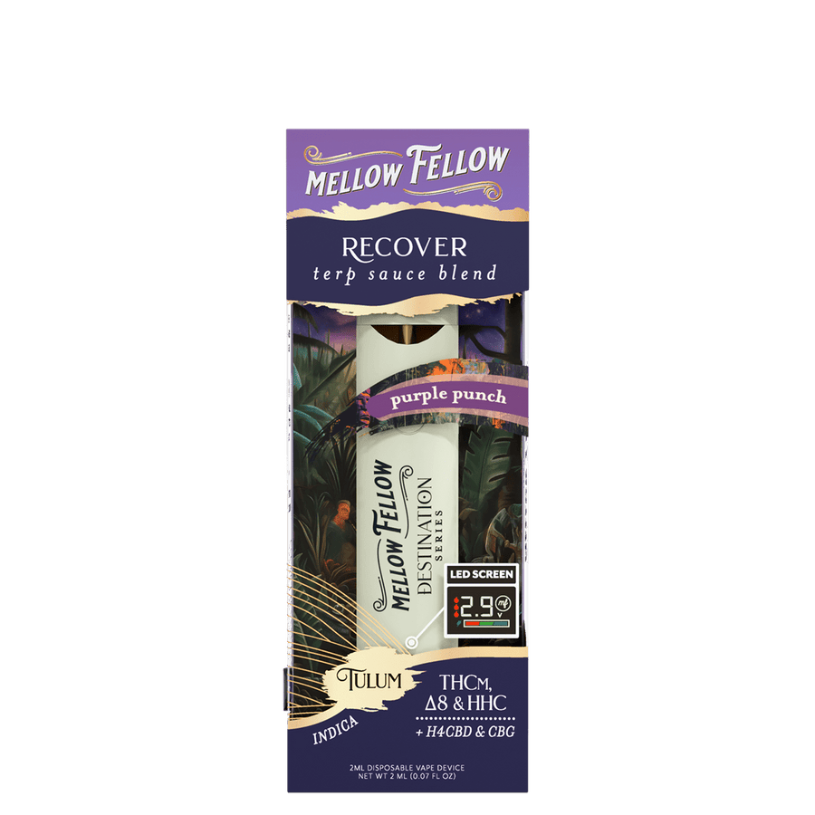Recover Blend - Destination: Tulum - Terp Sauce 2ml Disposable Vape - Purple Punch (Indica) - Mellow Fellow