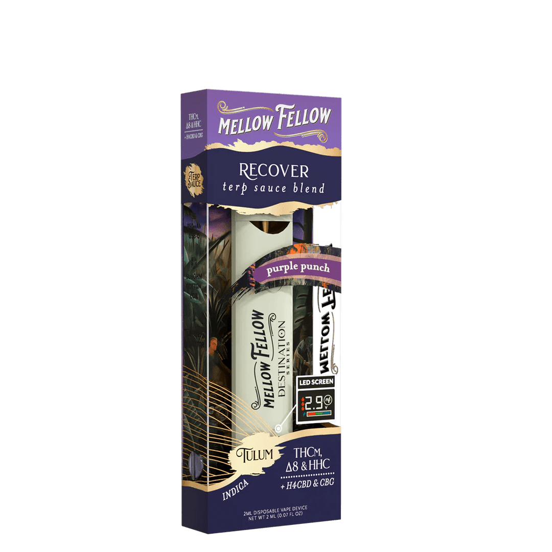 Recover Blend - Destination: Tulum - Terp Sauce 2ml Disposable Vape - Purple Punch (Indica) - Mellow Fellow