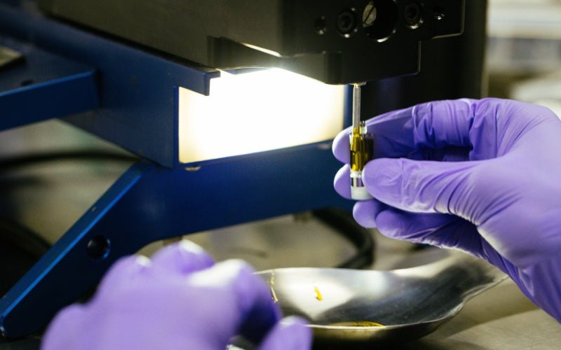 How To Find The Best, Safest, Most Affordable Access to Delta 8 Concentrate Near Me - Mellow Fellow