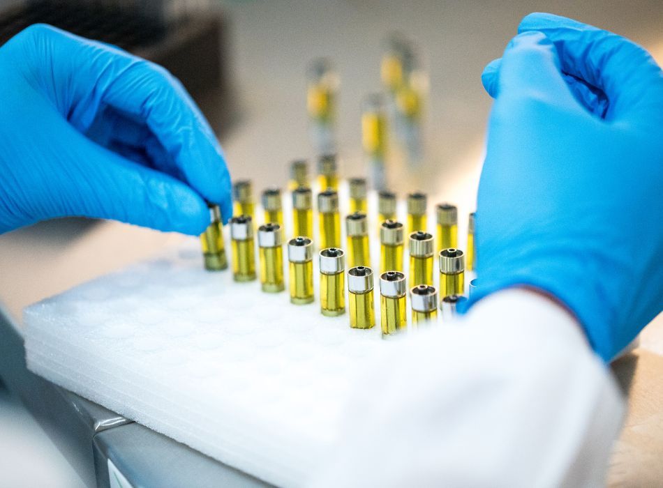 A person wearing blue gloves is arranging small vials containing yellow liquid, likely cannabis oil for vape cartridges