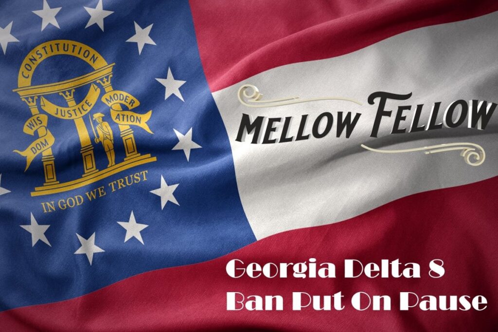 Georgia Senate Vote To Ban Delta-8 THC Put On Pause - Mellow Fellow